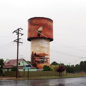 Cargelligo Water Tower Art