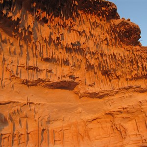 Fossils in the Tumblagooda sandstone