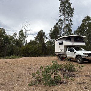 Free camp state forest