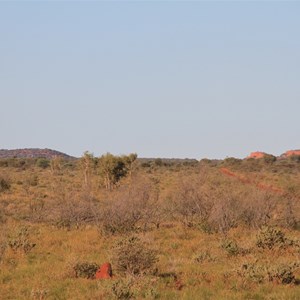 Young Range seen from 14km south (Everard Junction)