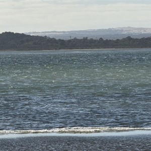 Big Yangie Bay Campground