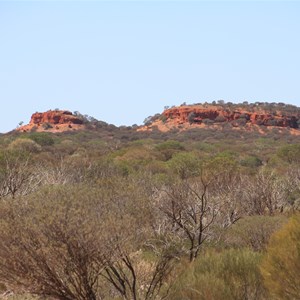 Mt Everard as viewed from the west