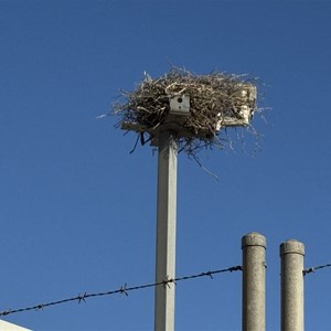 Unidentified Building