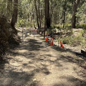Airly track off of Glen Davis road Capertee - gate locked here private property