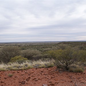 View from the southern rises of the Hickey Hills (Looking north to North East)