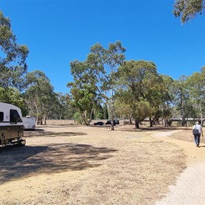 Avoca free camping area