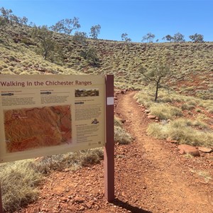 Mount Herbert Summit Trail