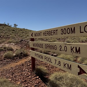 Mount Herbert Summit Trail
