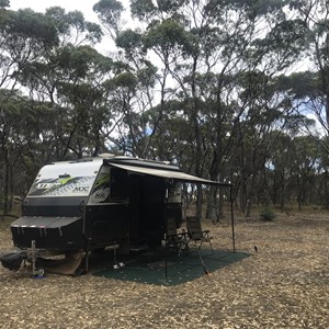 Toolibut Bush Camp