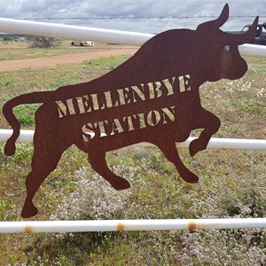 Mellenbye Station Stay, Yalgoo. Western Australia