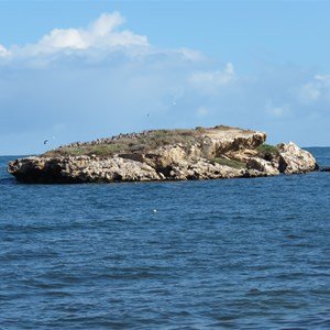 Snag Island