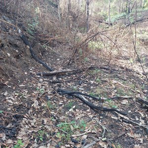 Wooden Trolleyway rail alignment