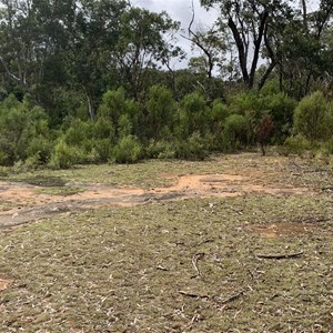 Cudgegong Picnic Area