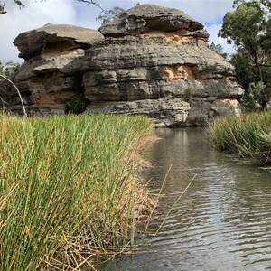 Cudgegong Picnic Area