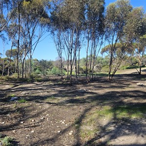 Pine Hill Camp Ground