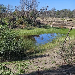 Pine Hill Camp Ground