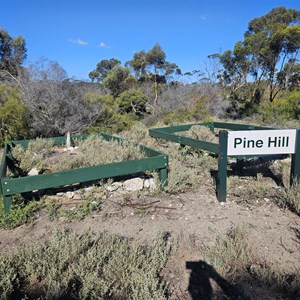Pine Hill Camp Ground