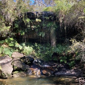 Face of the falls