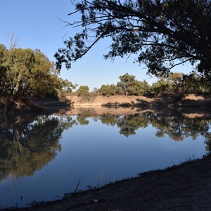 Darling River Campground 11