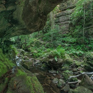Grand Canyon Walk creek crossing number 2