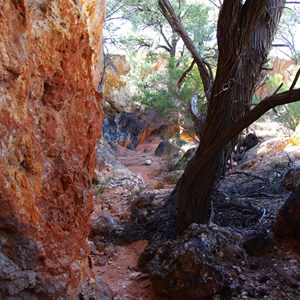 Pine Tree Caves