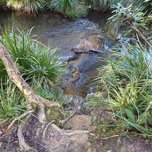 Battery falls S F campground