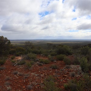 Mount Burges