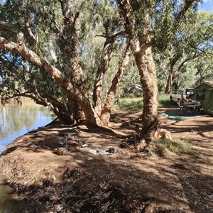 Burke River free camp