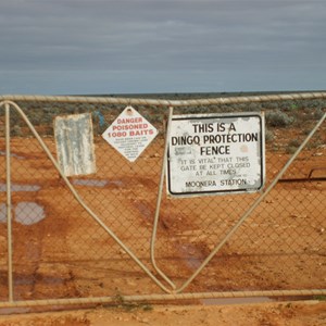Dingo fence on the track Haig - Cocklbiddy