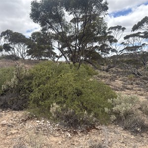 Madura Pass Blowhole