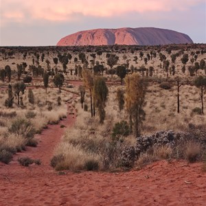 Uluru Winter Sunrise Viewing Point