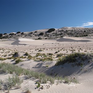 Sundrenched sandhills
