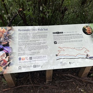 Harewood Forest Walk Trail