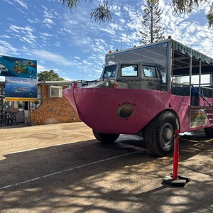 1770 Marina & LARC Tours