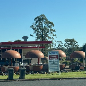 Macadamia house