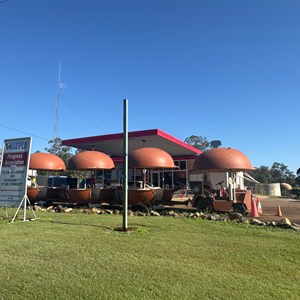 Macadamia house