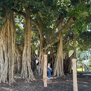 Queens Park