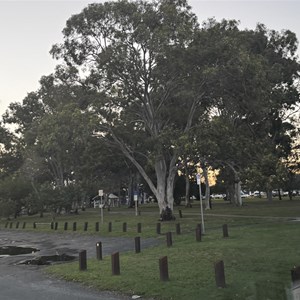 Norman Point