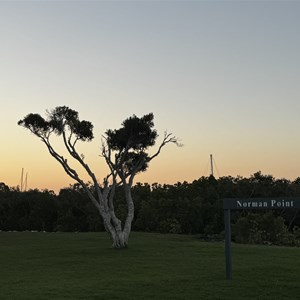 Norman Point