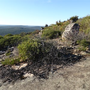 Mount Cuthbert - Bibbulmun Track
