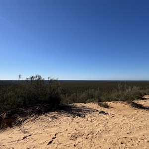 Trig Point