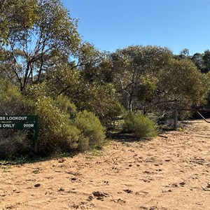 Walking Track to Mt Jess