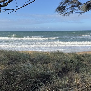 Beach Access Walking Track