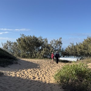 Beach Access Walking Track