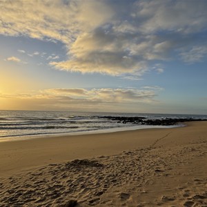 Beach Access Walking Track