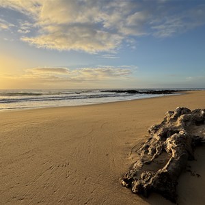 Beach Access Walking Track