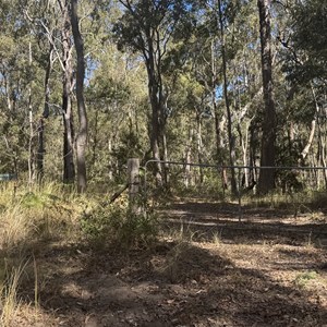 D4 Track Firebreak Locked Gate
