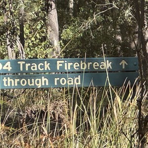 D4 Track Firebreak Locked Gate