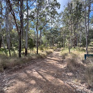 Escarpment track walk
