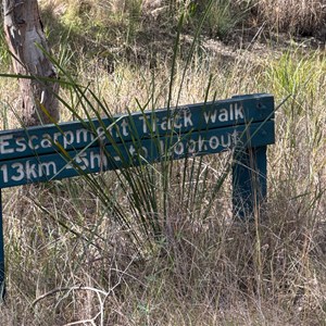 Escarpment track walk